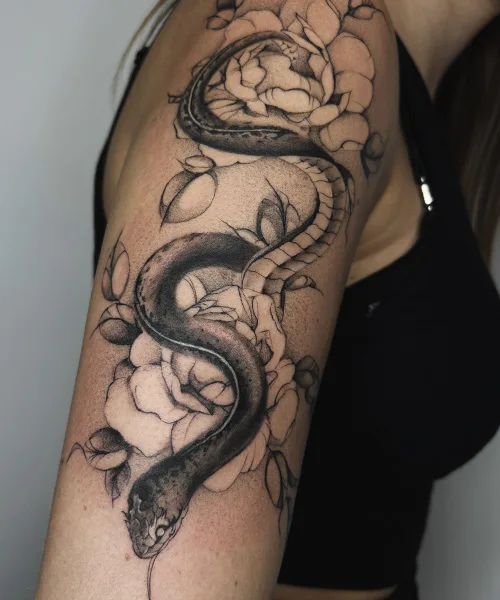 Portfolio image 16